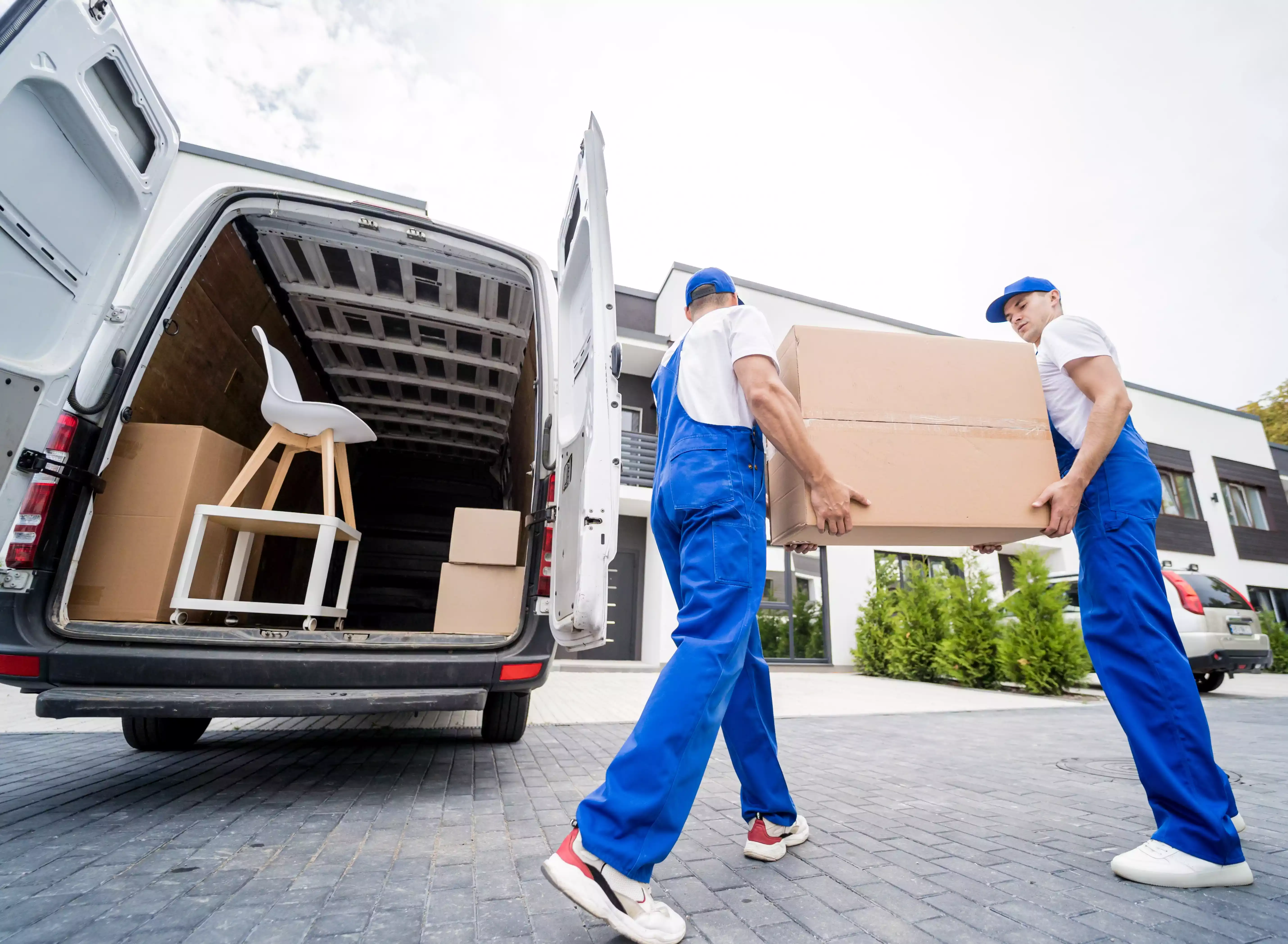 Proffesional movers
